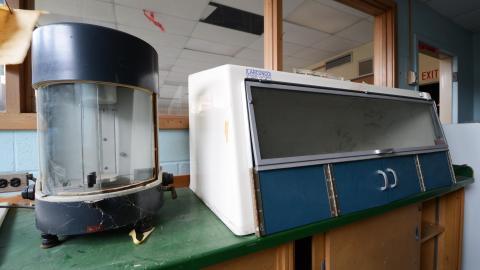 Fighting Irish - April 2016 - 6.jpg