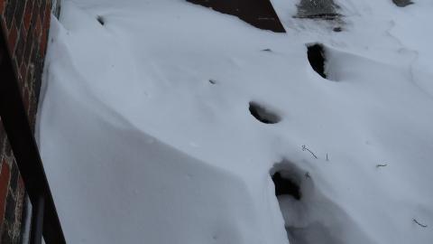 Third upload attempt is the charm - IMG_0520.JPG