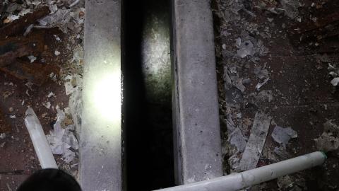 Third upload attempt is the charm - IMG_0498.JPG