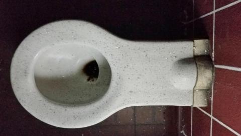 March 2021 5 - 140.JPG