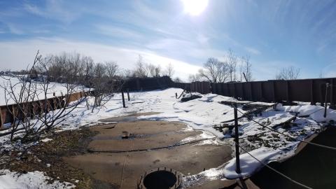 Frozen in time - 20220207_121132.jpg