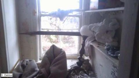 I always get the Weird ones... - King-St.-Mystery25.jpg