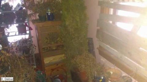 I always get the Weird ones... - King-St.-Mystery26.jpg