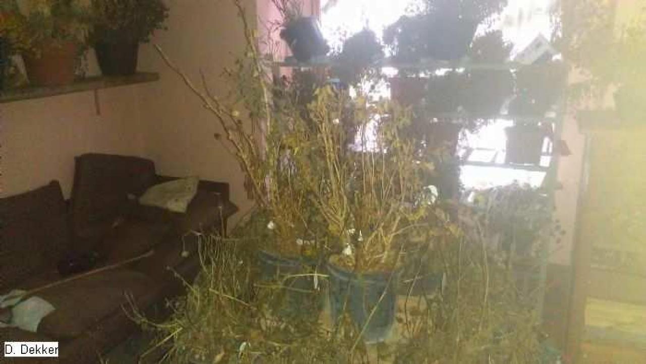 I always get the Weird ones... - King-St.-Mystery16.jpg