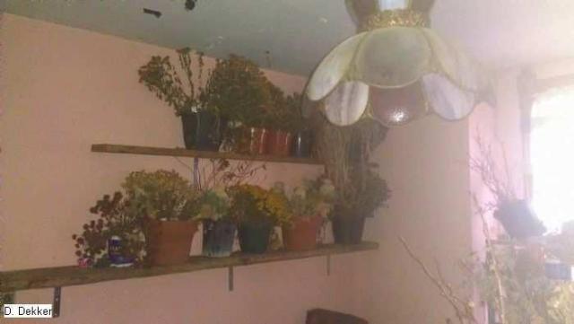 King St. Mystery photo 5