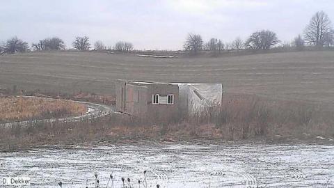 Hill House Jr. - St. Johns Sdrd photo 2