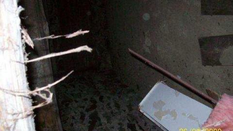 Gallery - Chelmsford-Red-House36.jpg