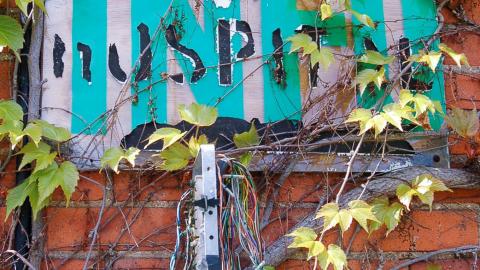 Summer of 2012 - hamilton sanitorium 2012-7.jpg