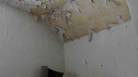 TICK TOCK (+ 11 Months & Its Final Form) - IMG_2376.JPG