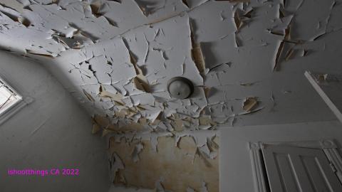 TICK TOCK (+ 11 Months & Its Final Form) - IMG_2377.JPG