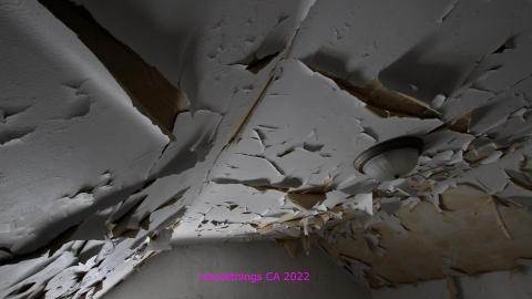 TICK TOCK (+ 11 Months & Its Final Form) - IMG_2379.JPG