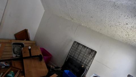 TICK TOCK (+ 11 Months & Its Final Form) - IMG_2383.JPG