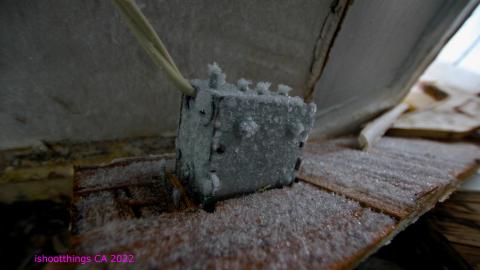 TICK TOCK (+ 11 Months & Its Final Form) - IMG_2397.JPG