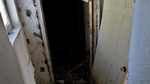 TICK TOCK (+ 11 Months & Its Final Form) - IMG_2410.JPG