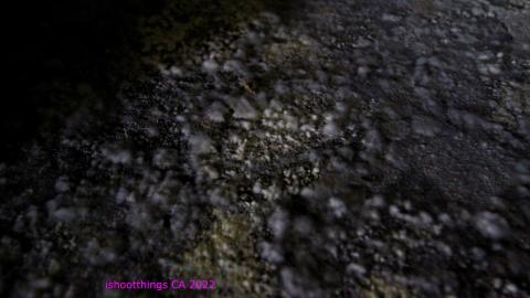 TICK TOCK (+ 11 Months & Its Final Form) - IMG_2414.JPG