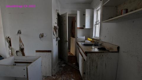 TICK TOCK (+ 11 Months & Its Final Form) - IMG_2446.JPG