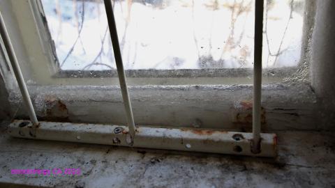 TICK TOCK (+ 11 Months & Its Final Form) - IMG_2457.JPG