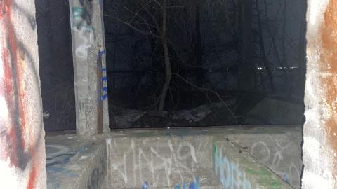 Late night visit - 2AAEDE3C-3E76-4C71-B7D1-C5501CEDA78B.jpeg