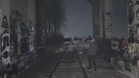 Late night visit - E328CB65-7B84-4C08-8BF5-FCE2CB85E23A.jpeg