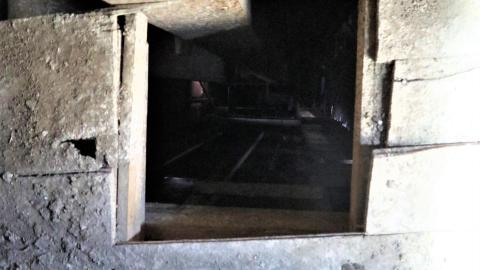 One goal: climb! - IMG_0592.JPG