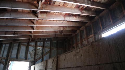 One goal: climb! - IMG_0597.JPG