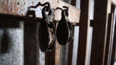 One goal: climb! - IMG_0598.JPG