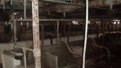 roofless - North-Oakville-farm22.jpg