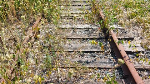 Summer 2021 - 20210828_142541.jpg