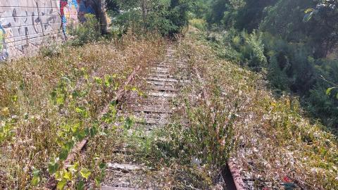 Summer 2021 - 20210828_142423.jpg