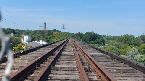 Summer 2021 - 20210828_142006.jpg