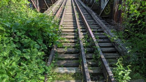 Summer 2021 - PXL_20210620_210832452.jpg