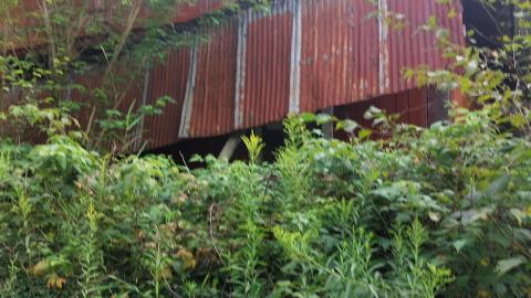 Photo from Still here as of summer 2021