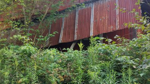 Still here as of summer 2021 - 20210811_174532.jpg