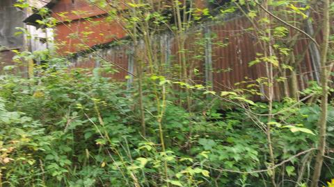 Photo from Still here as of summer 2021