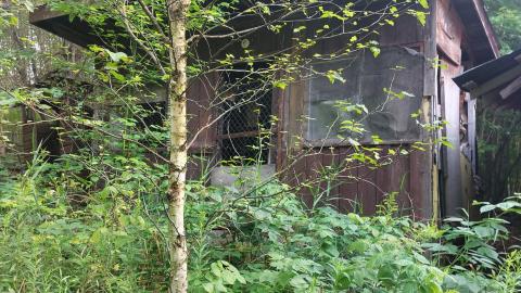 Still here as of summer 2021 - 20210811_174559.jpg