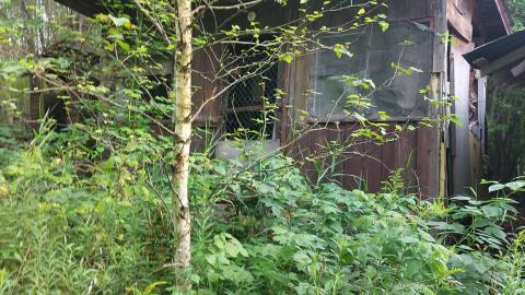 Photo from Still here as of summer 2021