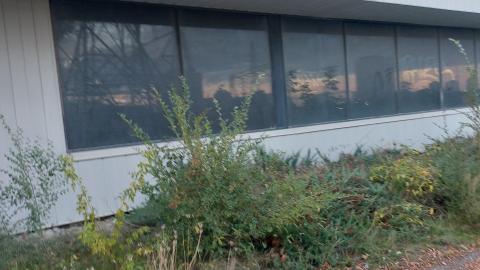 Photo from Summer 2021