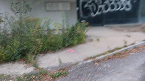 Photo from Summer 2021