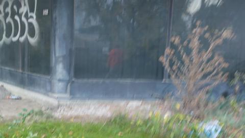 Photo from Summer 2021