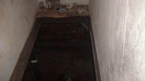 roofless - North-Oakville-farm25.jpg