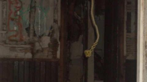 old cars 2 - tysons b-day 066.jpg