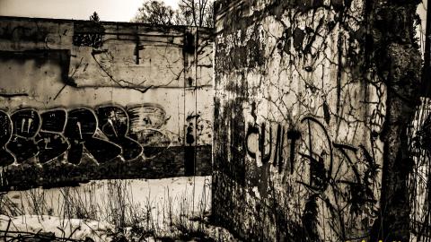 Photo from it's a crowe !!!