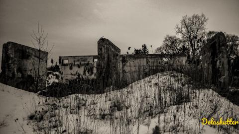 it's a crowe !!! - Add Watermark_2022_02_20_09_18_35 (2).jpg