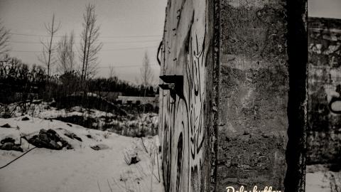 it's a crowe !!! - Add Watermark_2022_02_20_09_18_35 (4).jpg