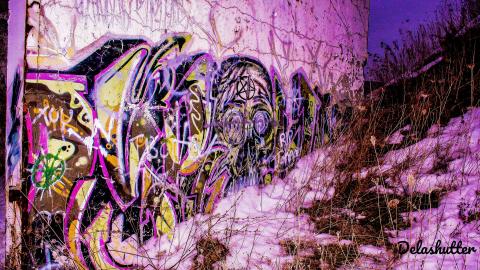 Photo from it's a crowe !!!