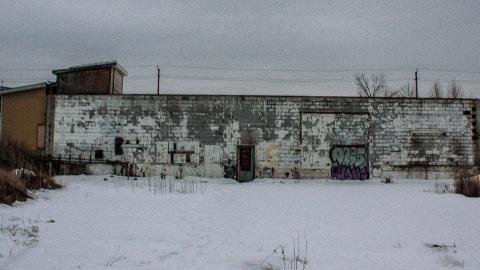 crowe's feet - Add Watermark_2022_02_20_09_18_35 (9).jpg