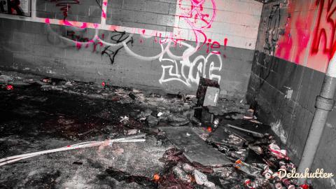 crowe's feet - Add Watermark_2022_02_20_09_18_35 (18).jpg