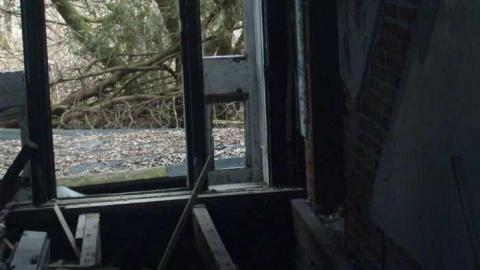 old cars 2 - tysons b-day 070.jpg