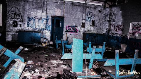 crowe's feet - Add Watermark_2022_02_20_09_18_35 (19).jpg