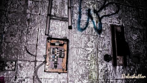 crowe's feet - Add Watermark_2022_02_20_09_18_35 (21).jpg